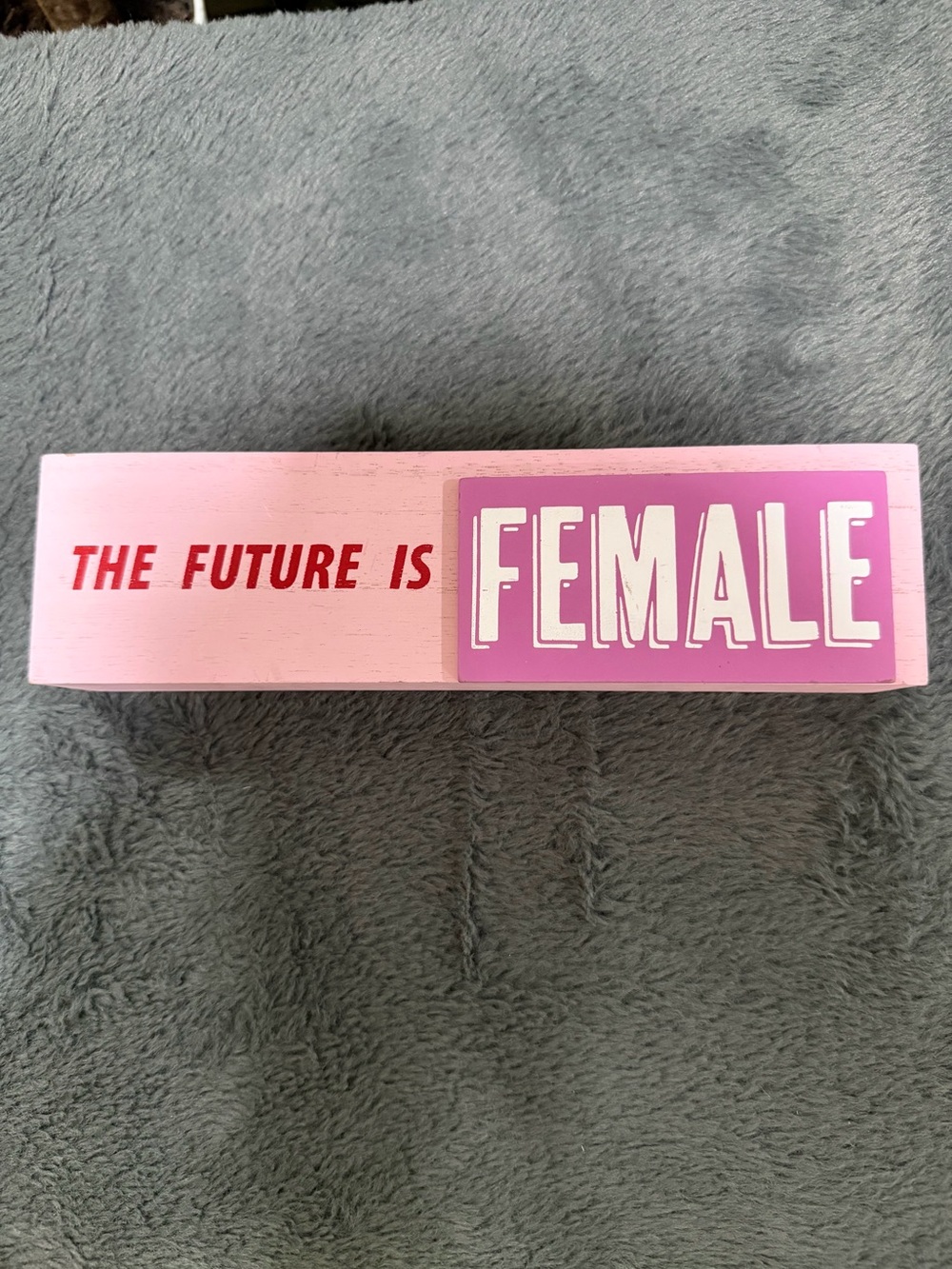Pink "The Future Is Female" Decorative Block Sign - Women Accessories